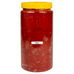 Salça ( El Yapımı ) Biber Acı 1 kg