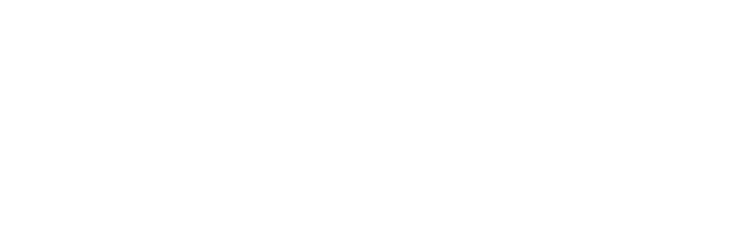 1960’tan Günümüze Doğal Zeytin ve Zeytinyağı | Özenel Zeytin