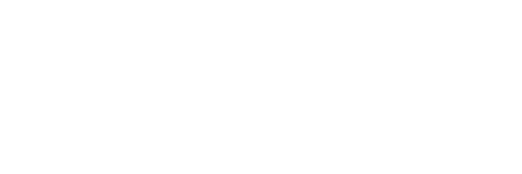 1 Litre ( Teneke) Sızma Zeytinyağı Satın Al | Özenel Zeytin